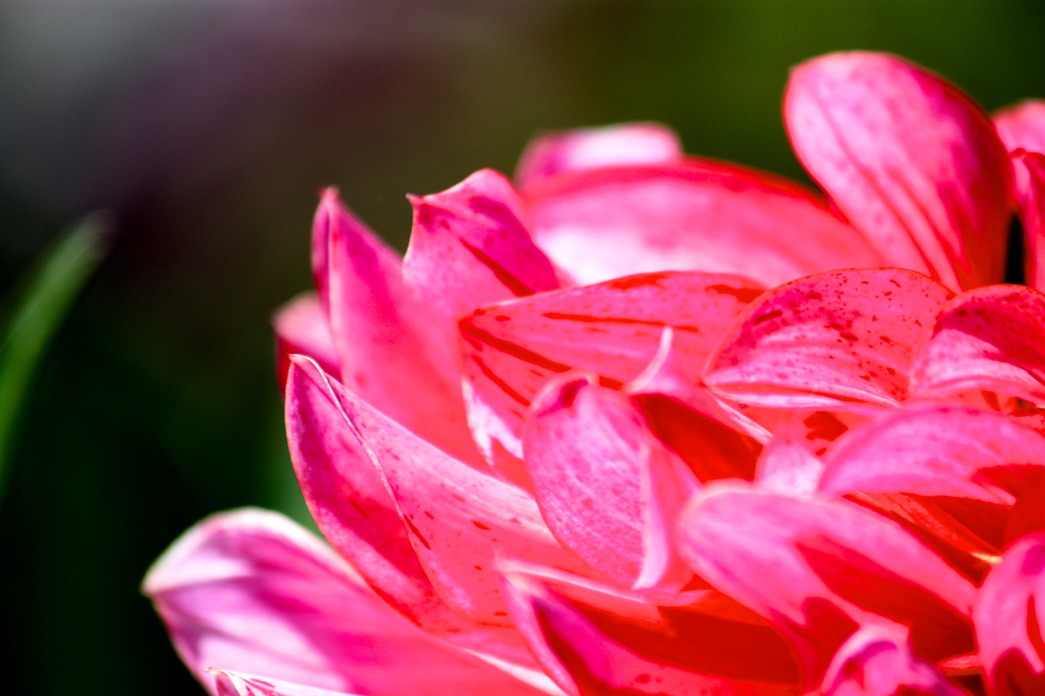 The Gift of Your Presence